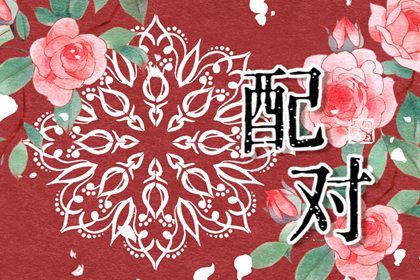 什么是八字合婚?